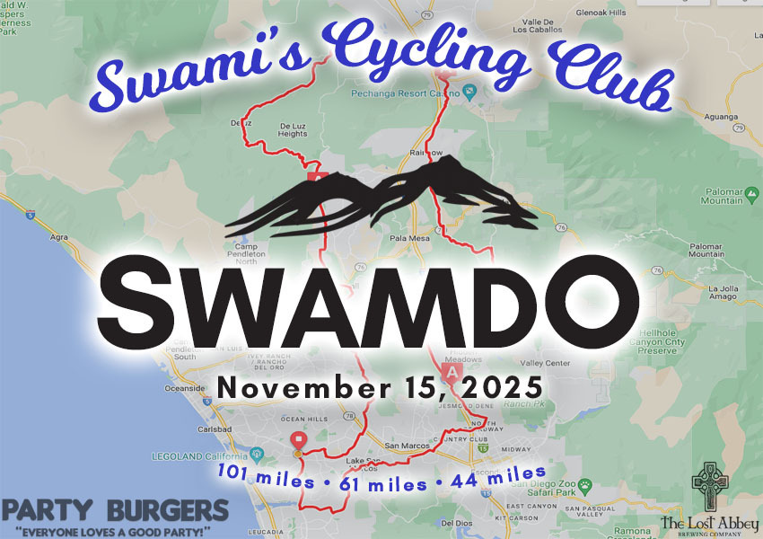 2025_Swamdo_promo_copy_2